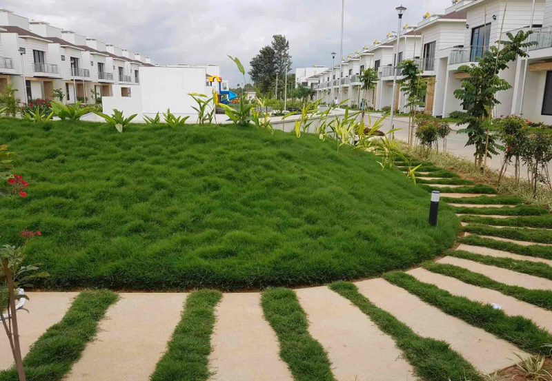 Landscape garden